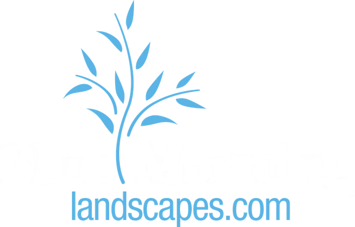 Blue Morning Landscapes